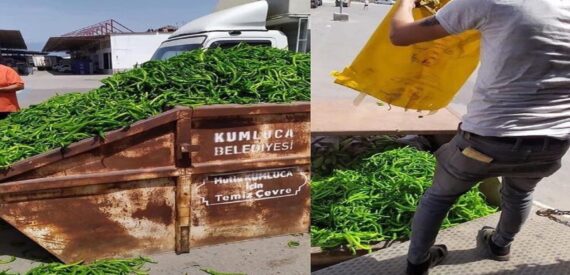 Çiftçinin mahsulü çöpe döküldü! 16 çiftçinin mahsulü çöpe döküldü (2)